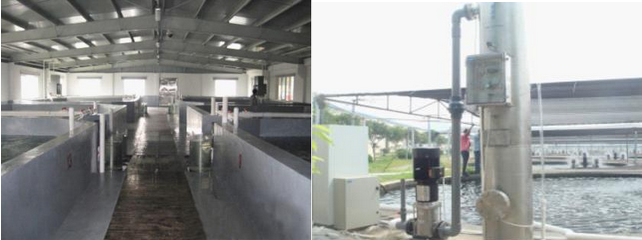 1490083404105789.jpg 水產養殖案例.jpg